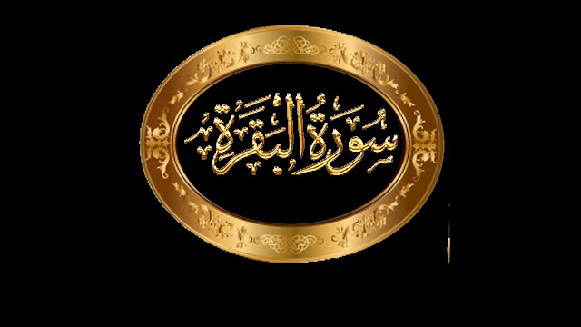  3 قصص واقعية من سورة البقرة 3%2B%25D9%2582%25D8%25B5%25D8%25B5%2B%25D9%2588%25D8%25A7%25D9%2582%25D8%25B9%25D9%258A%25D8%25A9%2B%25D8%25B3%25D9%2588%25D8%25B1%25D8%25A9%2B%25D8%25A7%25D9%2584%25D8%25A8%25D9%2582%25D8%25B1%25D8%25A9%2B%25D9%2585%25D9%2586%2B%25D9%2582%25D8%25B5%25D8%25B5%2B%25D8%25A7%25D9%2584%25D9%2582%25D8%25B1%25D8%25A2%25D9%2586%2B%25D8%25A7%25D9%2584%25D9%2583%25D8%25B1%25D9%258A%25D9%2585