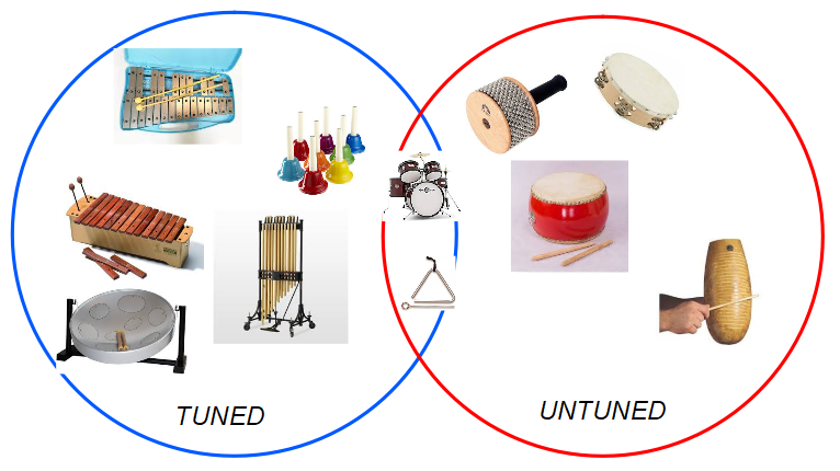 percussions instruments There are two types of percussions instruments