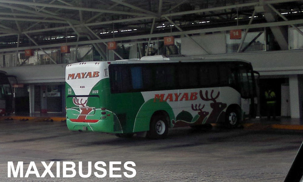 MAXIBUSES AUTOBUSES MAYAB