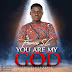 Music: You are my God – Francis SL