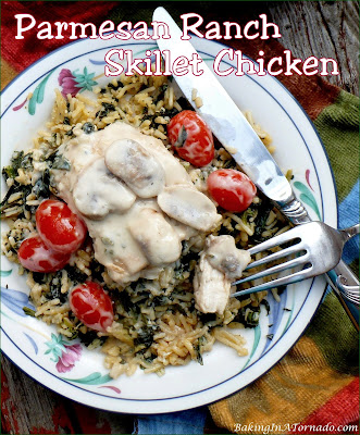 Parmesan Ranch Skillet Chicken cooks in one pan. Serve with the creamy sauce over rice or noodles. Dinner in ½ hour. | recipe developed by www.BakingInATornado.com | #recipe #dinner