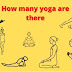 How Many Types of Asanas are there in Yoga