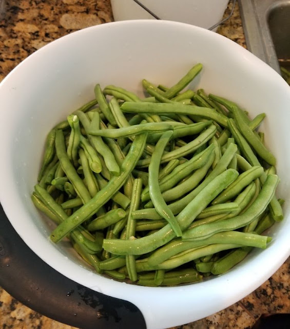 How to Pressure Can Green Beans