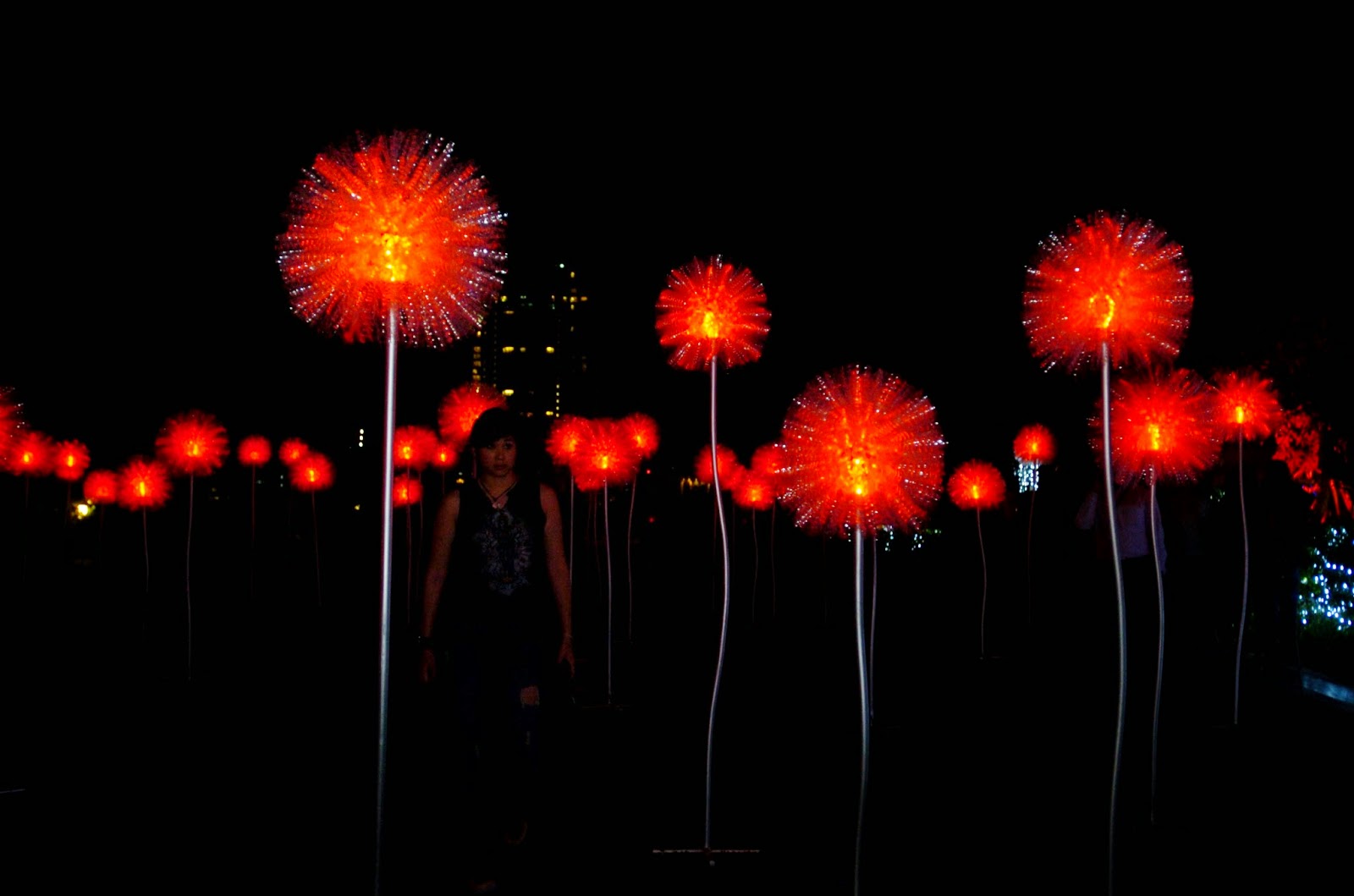 The Philippine Beat See the ecofriendly dandelion light show by