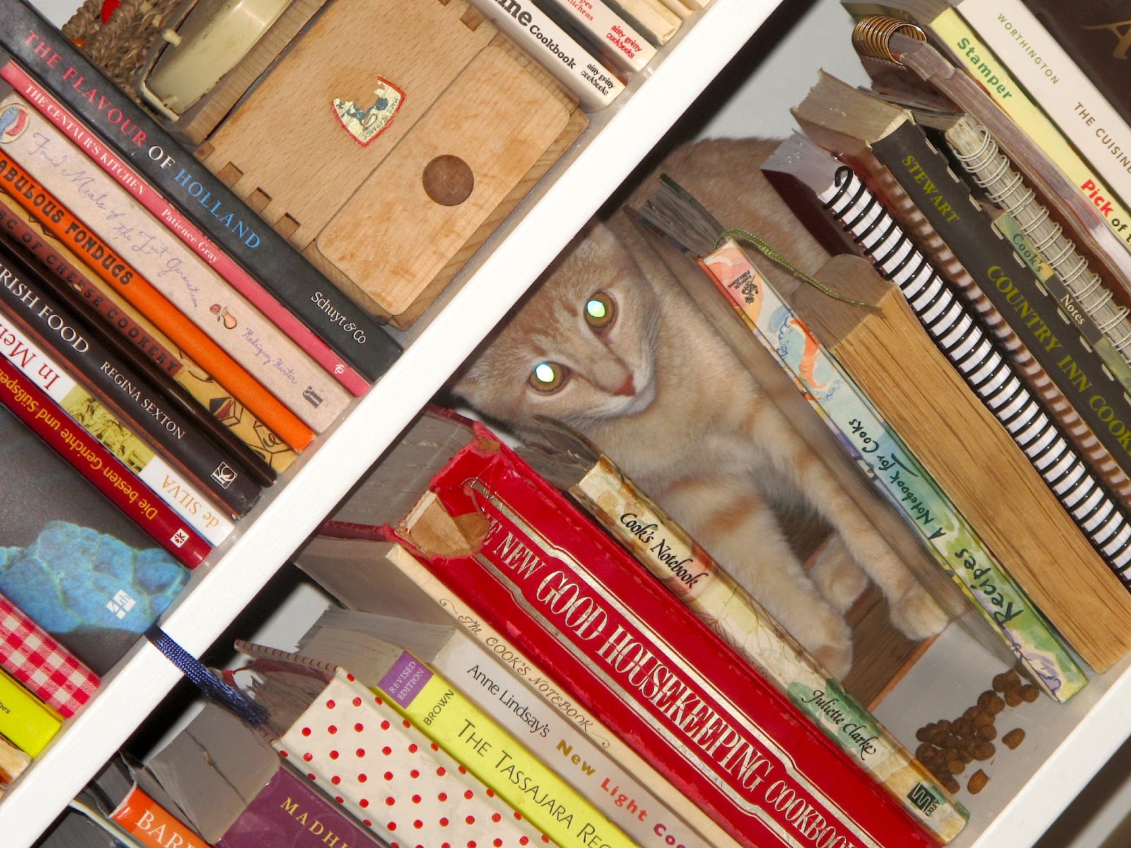 somerville kitchen Shelving the Catses