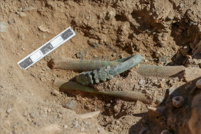 Archaeological excavations in Van unveil child skeleton with two dragon head bracelets