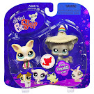 Littlest Pet Shop Pet Pairs Chihuahua (#837) Pet