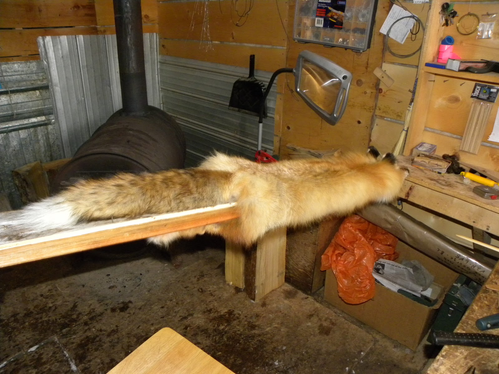 The Happy Trappers 2 Sixth Year Fox Trapping, and handling Fur