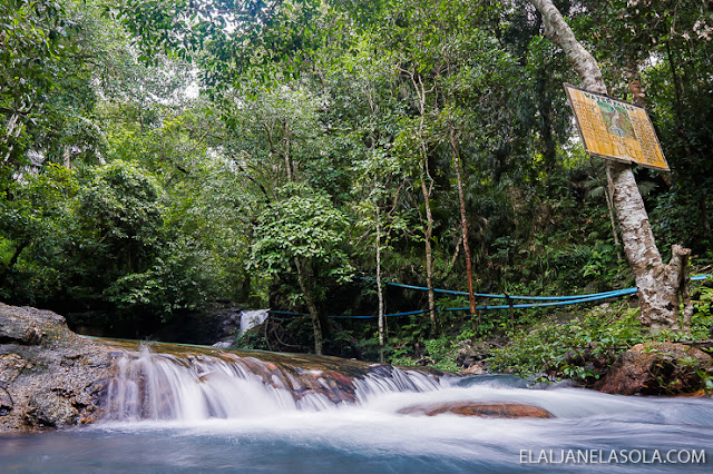 Coron | Calauit Safari Park & Pamalican Island (Natural Arts Travel and Tour) Palawan