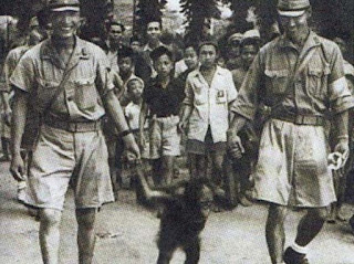 Pendudukan Jepang dan Kedatangan Jepang di Indonesia