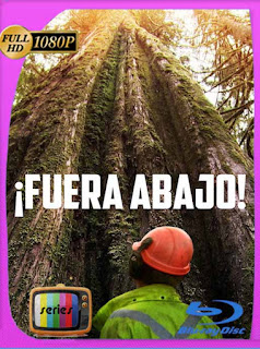 Fuera abajo (Big Timber) (2021) Temporada 1 HD [1080p] Latino [GoogleDrive] PGD
