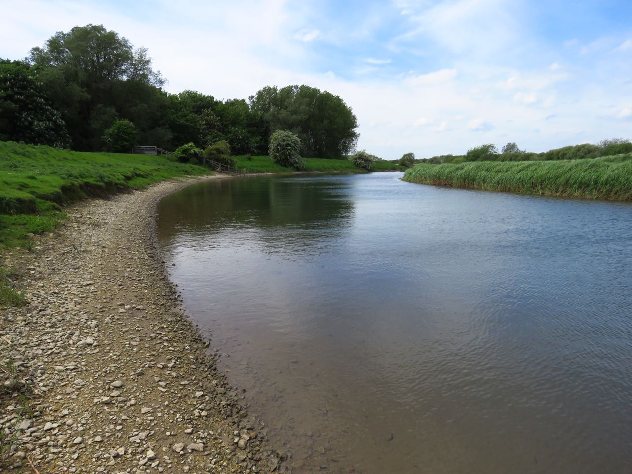Wild at Hull River Hull. Stage 10. Leven Canal to Baswick Landing