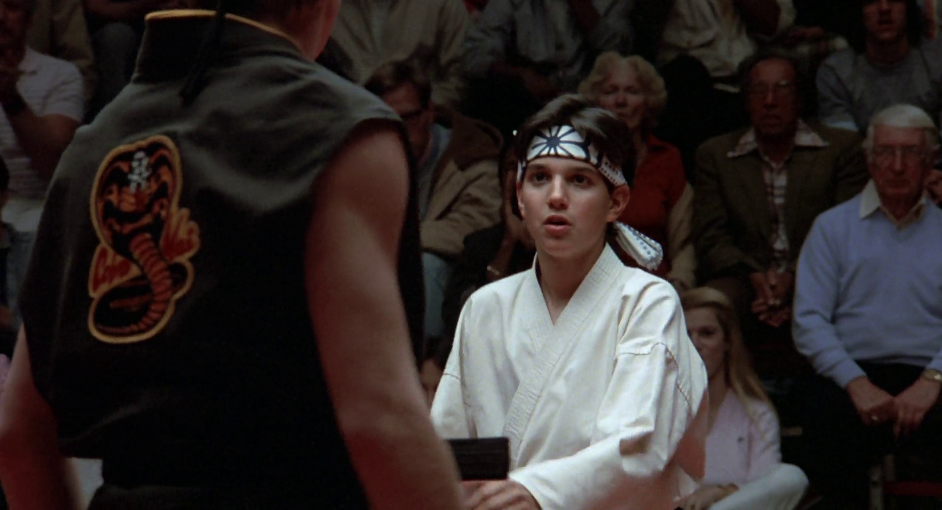 Descargar El Karate Kid (1984) HD 1080p Latino [MultiDoblaje] CinemaniaHD