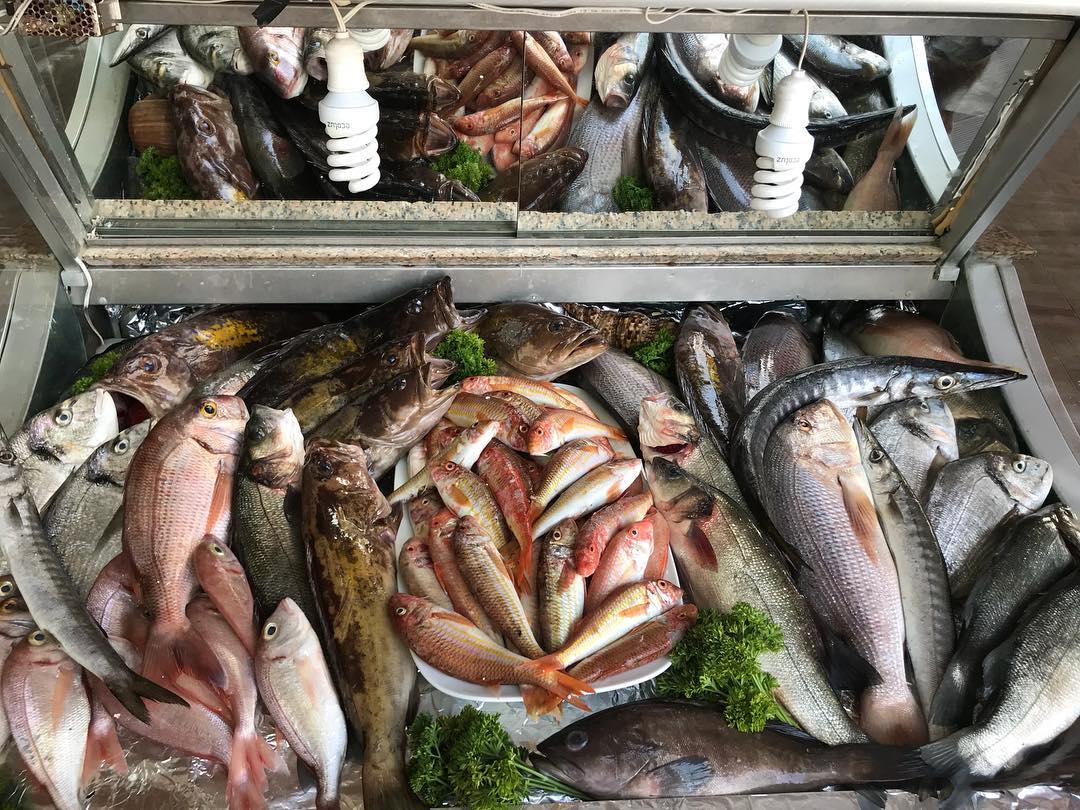 TUNA RESTAURANT CAFE DATÇA MENÜ FİYAT LİSTESİ Ne Kadara Yenir?