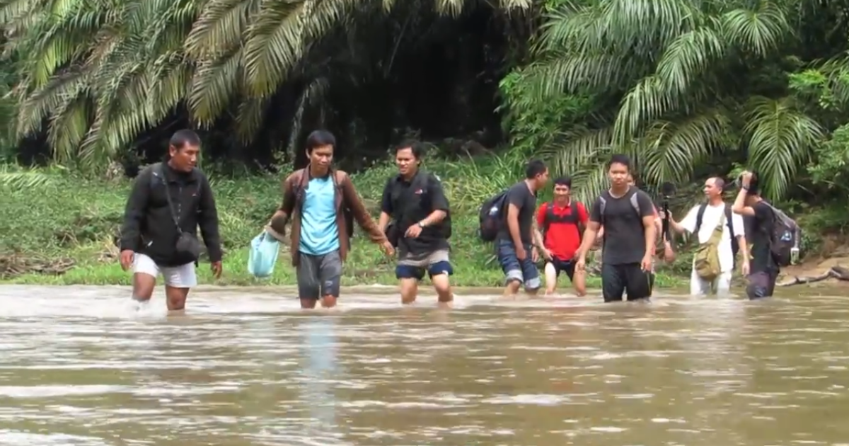 Suaka Margasatwa Bukit Rimbang dan Bukit Baling, Blogger Bertuah dan