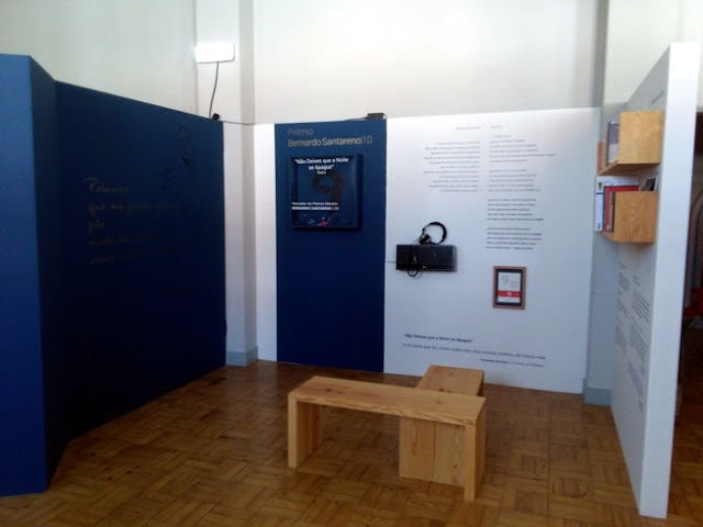 Exposição Domingos Lobo