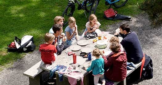 Describe a picnic you enjoyed image