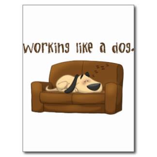Work Like a Dog Day Work Like a Dog Day