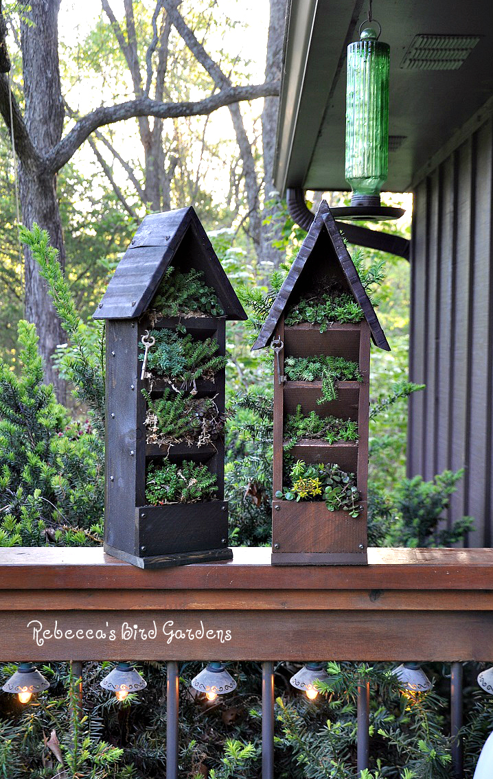 Rebecca's Bird Gardens Blog Vertical Planter "The Greenhouse"