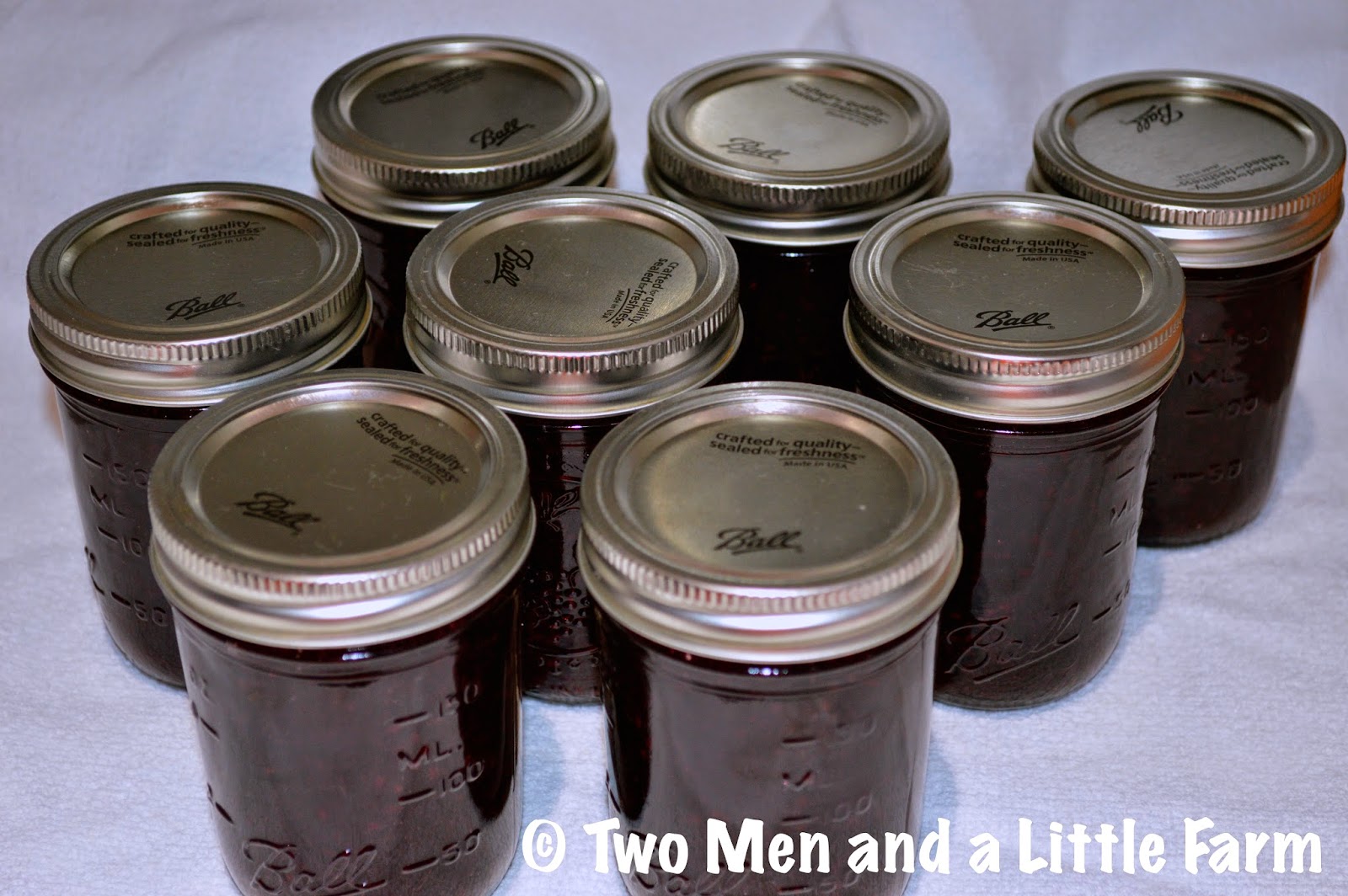 Two Men and a Little Farm EASY DEWBERRY JAM RECIPE