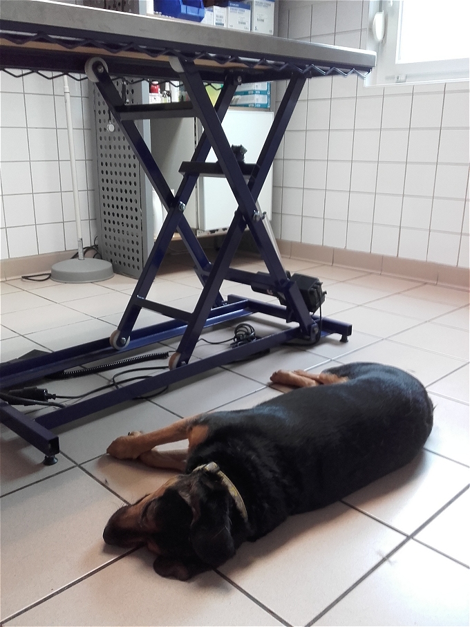 Filzgarten August 2014