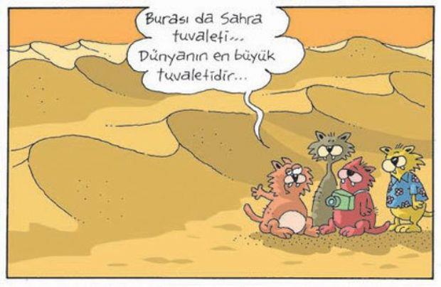 Durmabak) Mayıs 2012