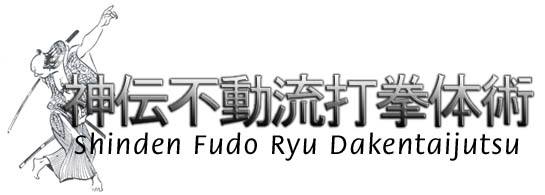 White Tiger Martial Arts Croydon : Shinden Fudo Ryu Dakentaijutsu