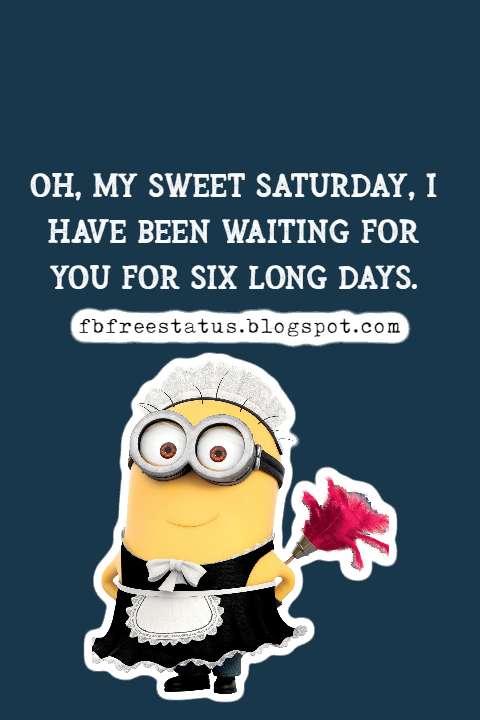 Happy And Saturday Funny Quotes With Funny Memes Images happy-and-saturday-funny-quotes-with-funny-memes-images
