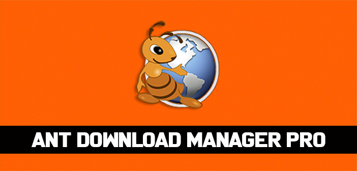 download manager pro exe