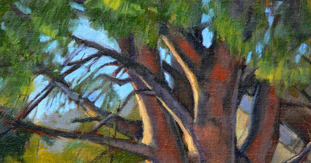 Backyard Trees