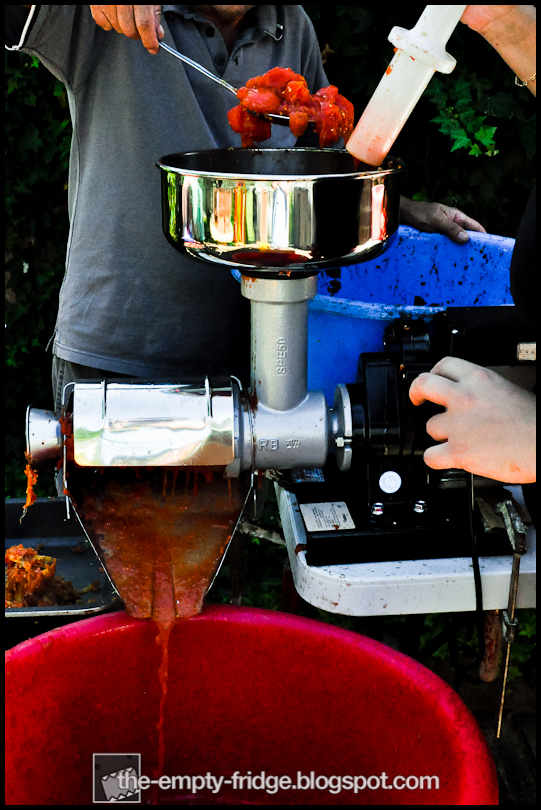 The Empty Fridge. Tomato Sauce Day Italian Backyard Style.