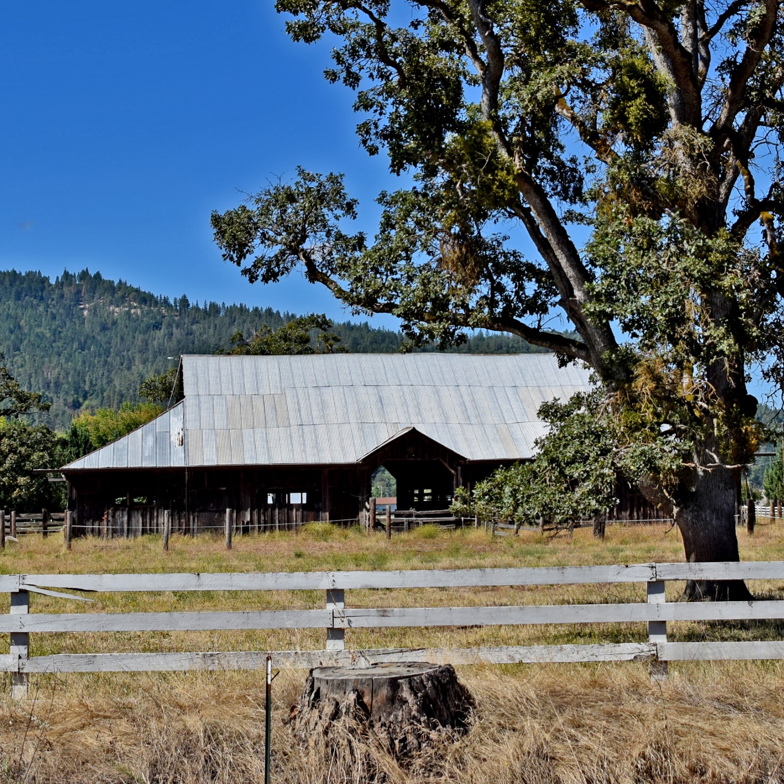 Adventures through Photography Trip to Montesano, Washington 2016