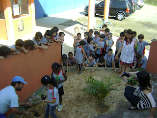 E. M. Nelson de Miranda Coutinho: Flores na escola!