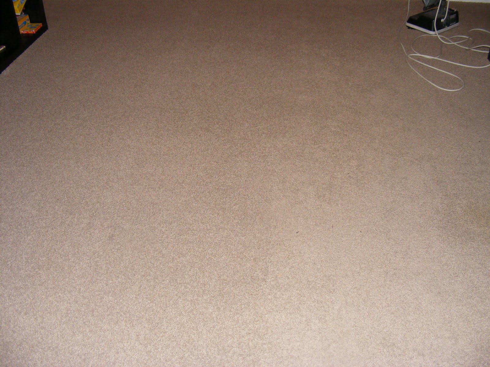Cleaning Your Carpet (Without a Carpet Cleaner)