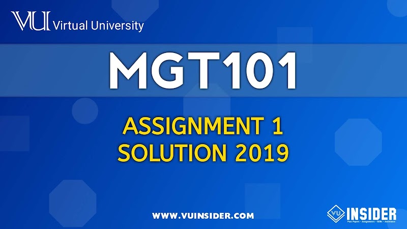 Mgt101 financial accounting assignment 1 solution 2019 08 picture