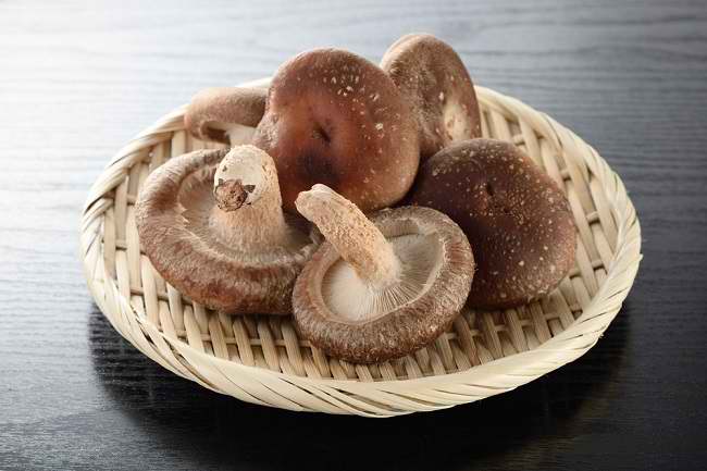 Get to Know the Various Benefits and Recipes of Shitake Mushrooms