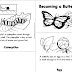 Самодельная мини-книжка про превращения Бабочки