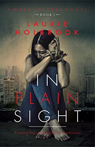 Review: In Plain Sight by Laurie Holbrook