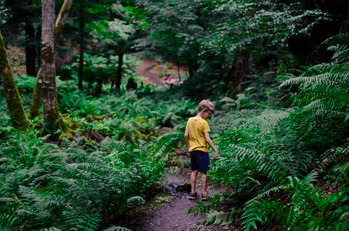 Canonteign falls, Days out in devon