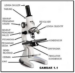 fungsi bagian-bagian mikroskop