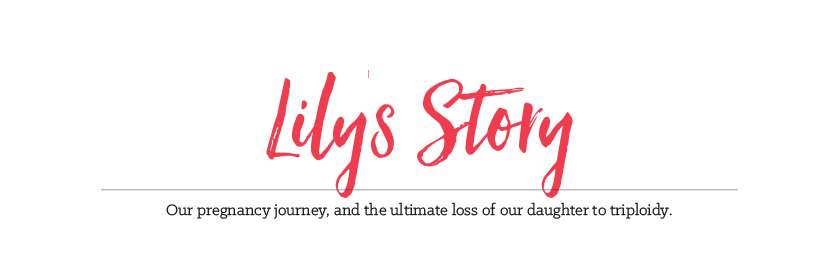 Lily's Story - Our Triploidy diagnosis