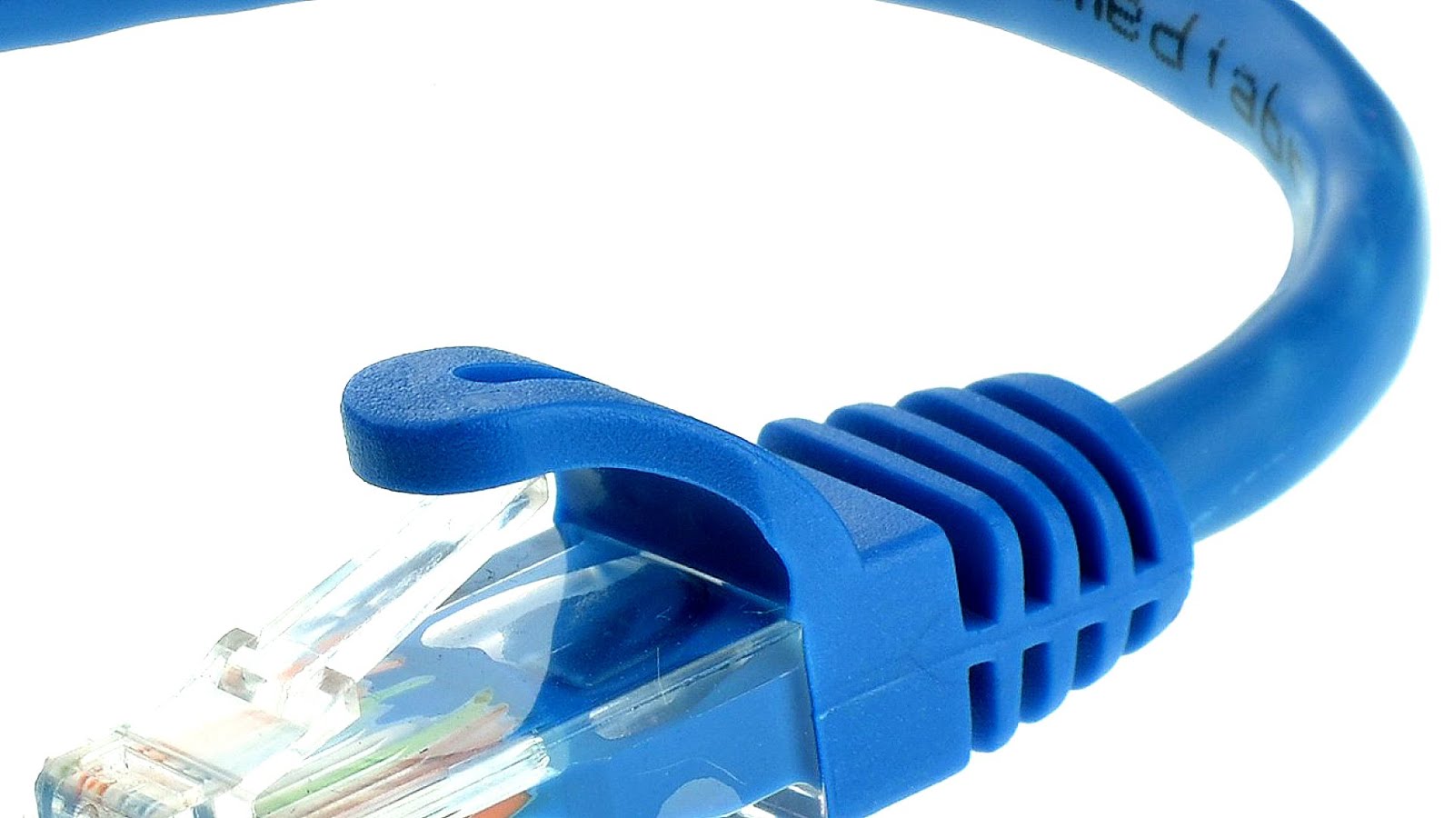 Category 5 cable Cat Choices