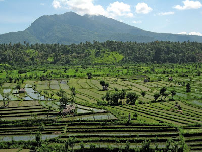 North of Tirta gangga rice terrace
