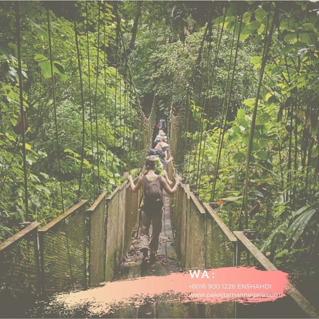 Pakej Ke Taman Negara Pahang , Kuala Tahan , Taman Negara Jerantut , Pakej Pelajar Taman Negara Pahang