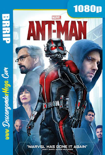 Ant-Man El Hombre Hormiga (2015) HD 1080p Latino