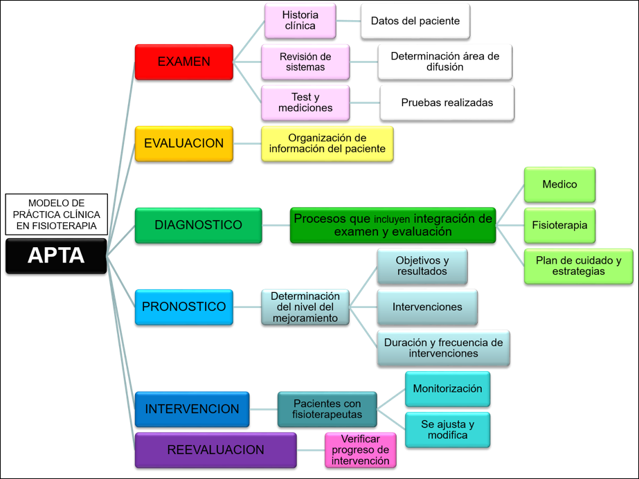 ESQUEMA CONCEPTUAL DE LOS MODELOS DE PRÁCTICA CLÍNICA EN FISIOTERAPIA