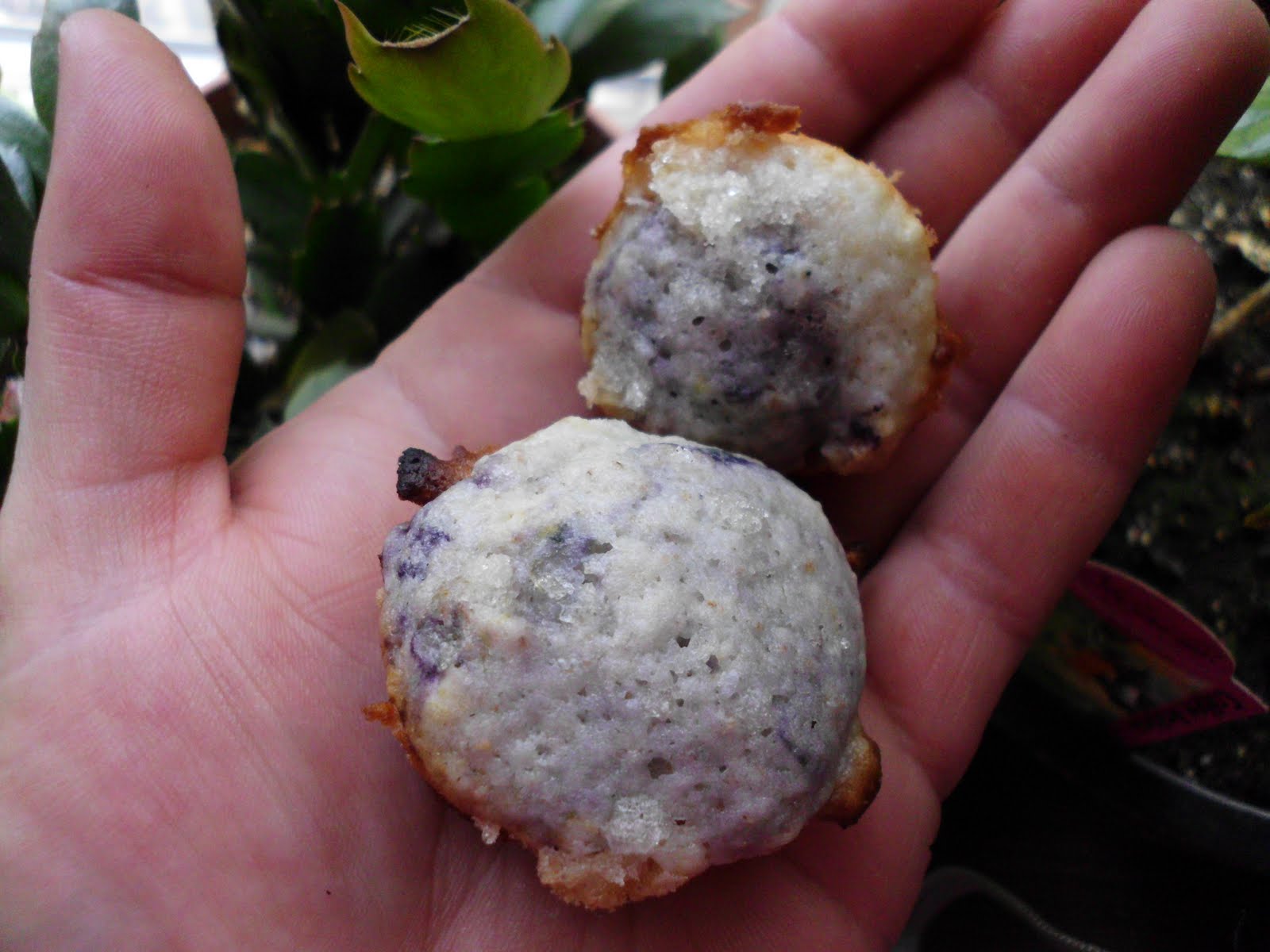 Lizardbreath Creations Blueberry Explosion Muffins