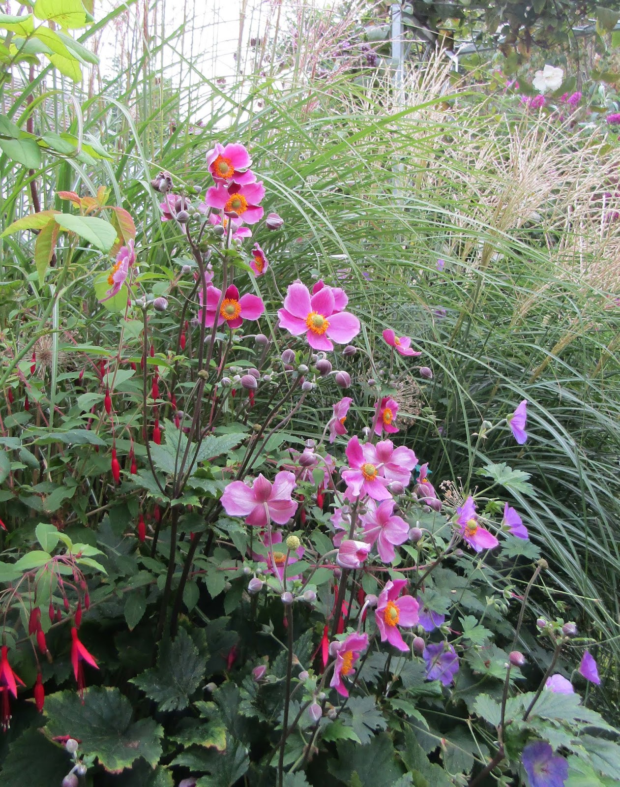 Feltabulous Favourite plants in September