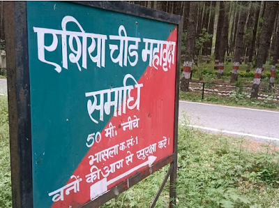 asia tallest tree uprooted uttarakhand in hindi