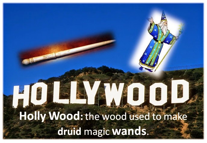 Holly+wood+the+wood+used+for+wands.jpg